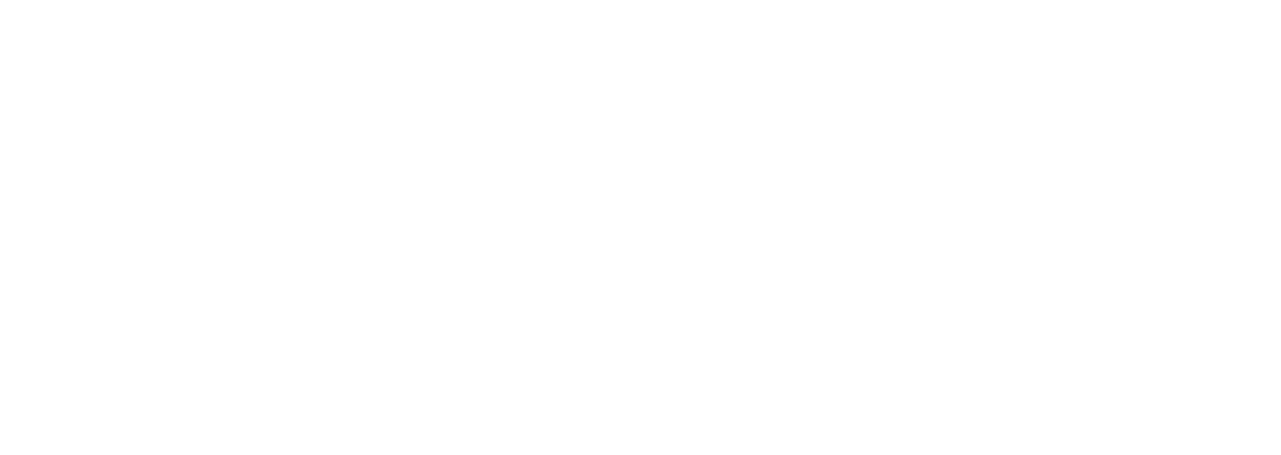 Wiser logo